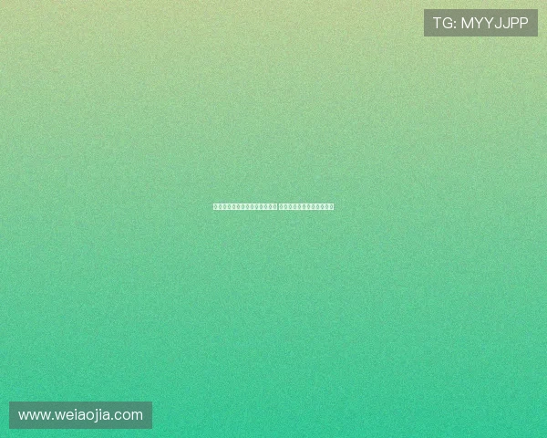 武切维奇助力公牛引援成绩显著 强调球队重建需耐心与远见